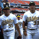 Illustration for article titled The Other Canseco Got Arrested On DUI Charges This Morning